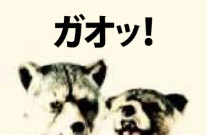 IMG_2424